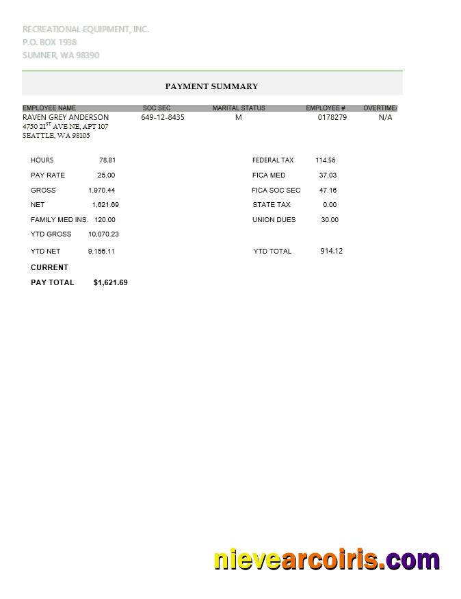 Recreational equipment LLC pay stub